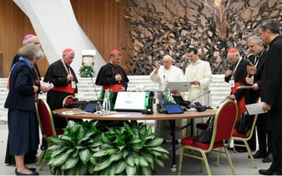 Vatican Takes Down Negative Poll on ‘Synodality’