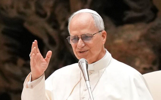 Journalists Vital in Defence of Truth: Pope Leo