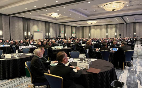 Trump Administration Is Changing US RC Bishops’ Policies?